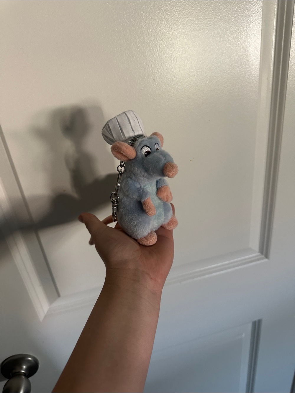 Disney keychain (from inside Disneyland)